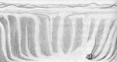 Иллюстрация к книге — Джордж и сокровища Вселенной [i_134.jpg]