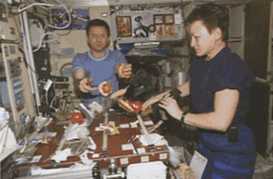 Иллюстрация к книге — Джордж и сокровища Вселенной [i_180.jpg]