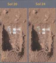 Иллюстрация к книге — Джордж и сокровища Вселенной [i_218.jpg]