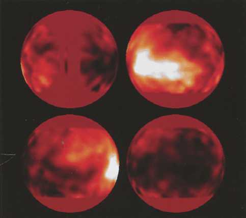 Иллюстрация к книге — Джордж и сокровища Вселенной [i_219.jpg]