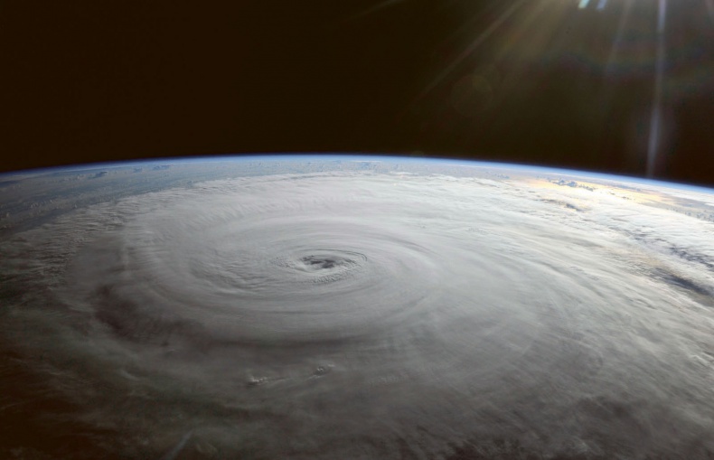 Иллюстрация к книге — Джордж и Большой взрыв [i_038.jpg]