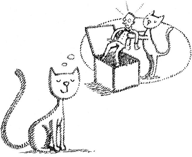 Иллюстрация к книге — Джордж и Большой взрыв [i_144.jpg]