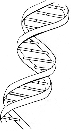 Иллюстрация к книге — Джордж и код, который не взломать [i_060.jpg]