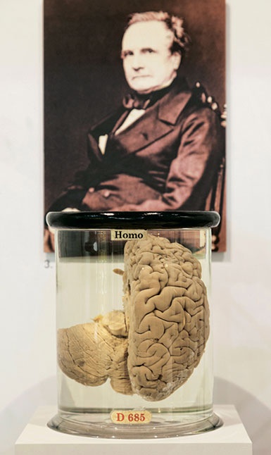 Иллюстрация к книге — Джордж и код, который не взломать [i_121.jpg]