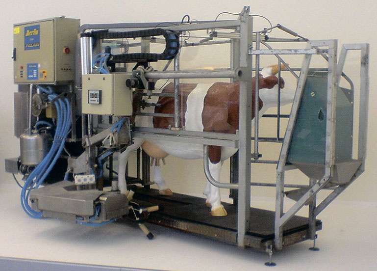 Иллюстрация к книге — Джордж и код, который не взломать [i_139.jpg]