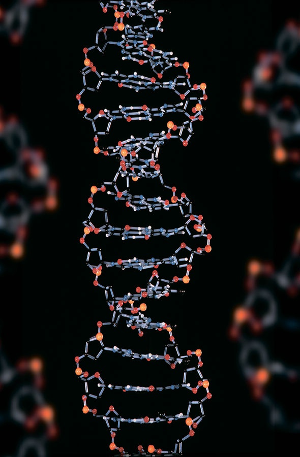 Иллюстрация к книге — Джордж и код, который не взломать [i_165.jpg]