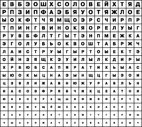 Иллюстрация к книге — Зрение. Советы и рекомендации ведущих врачей [_1591.jpg]