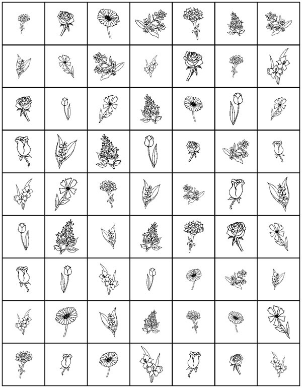 Иллюстрация к книге — Зрение. Советы и рекомендации ведущих врачей [_167.jpg]