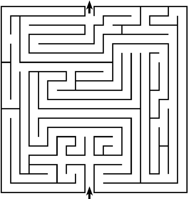 Иллюстрация к книге — Зрение. Советы и рекомендации ведущих врачей [_1701.jpg]