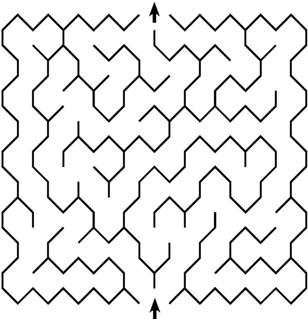 Иллюстрация к книге — Зрение. Советы и рекомендации ведущих врачей [_1711.jpg]