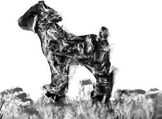 Иллюстрация к книге — Детский клуб. От идеи до прибыли [_12.jpg]