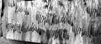 Иллюстрация к книге — Детский клуб. От идеи до прибыли [_8.jpg]