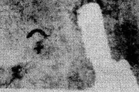 Иллюстрация к книге — Русь и Орда. Великая Империя Средних веков [i_010.jpg]