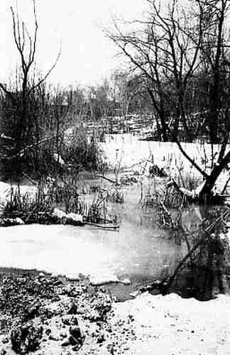 Иллюстрация к книге — Русь и Орда. Великая Империя Средних веков [i_079.jpg]