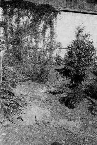 Иллюстрация к книге — Русь и Орда. Великая Империя Средних веков [i_093.jpg]