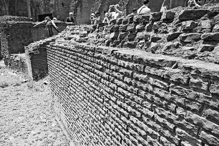 Иллюстрация к книге — Тайна Колизея [i_004.jpg]