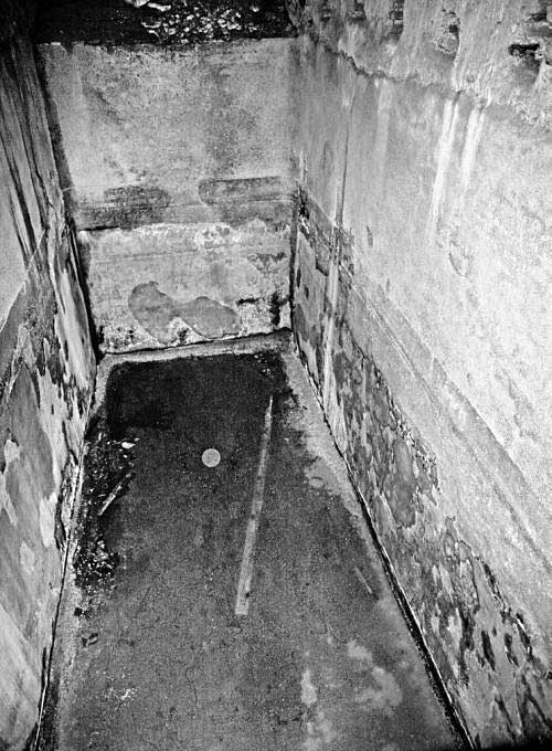 Иллюстрация к книге — Тайна Колизея [i_048.jpg]