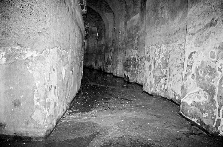 Иллюстрация к книге — Тайна Колизея [i_050.jpg]