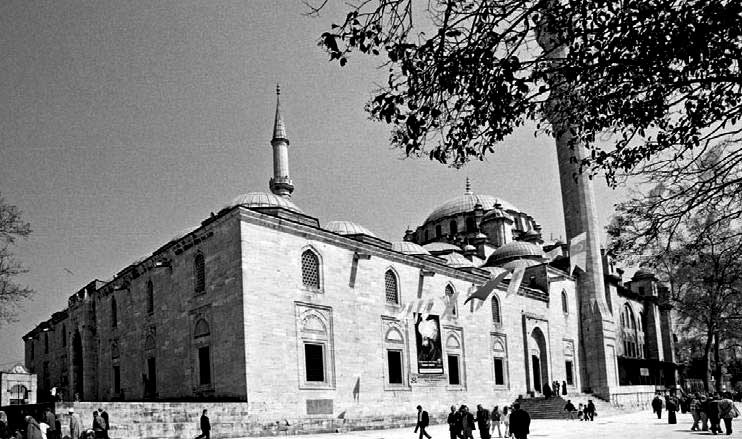 Иллюстрация к книге — Тайна Колизея [i_106.jpg]