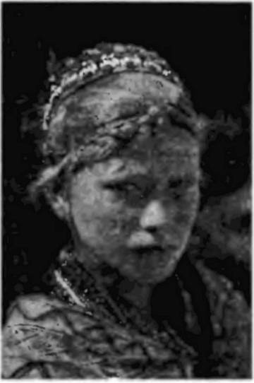 Иллюстрация к книге — Пегая орда. История «древнего» Китая [i_071.jpg]