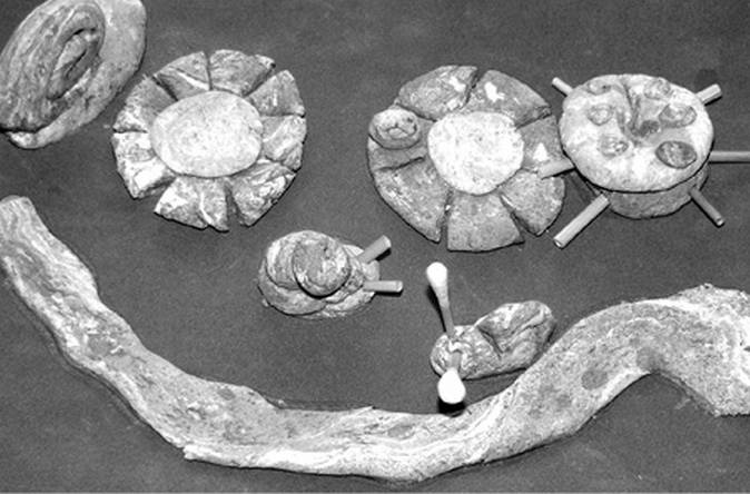 Иллюстрация к книге — Мысли многодетной мамы вслух, или Полуночные записки на подгузниках [i_007.jpg]