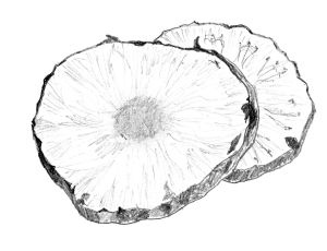 Иллюстрация к книге — Диабет. Советы и рекомендации ведущих врачей [i_021.jpg]