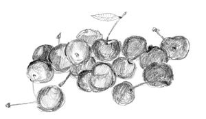 Иллюстрация к книге — Диабет. Советы и рекомендации ведущих врачей [i_023.jpg]