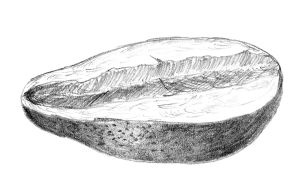 Иллюстрация к книге — Диабет. Советы и рекомендации ведущих врачей [i_024.jpg]