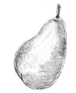 Иллюстрация к книге — Диабет. Советы и рекомендации ведущих врачей [i_025.jpg]