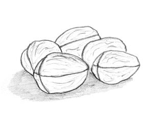 Иллюстрация к книге — Диабет. Советы и рекомендации ведущих врачей [i_030.jpg]