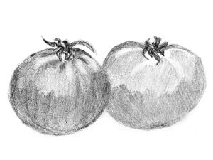 Иллюстрация к книге — Диабет. Советы и рекомендации ведущих врачей [i_032.jpg]