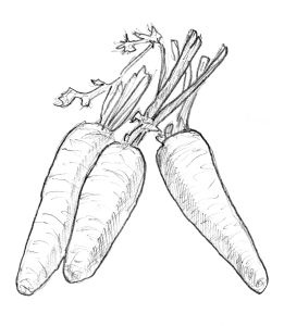 Иллюстрация к книге — Диабет. Советы и рекомендации ведущих врачей [i_034.jpg]