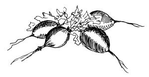 Иллюстрация к книге — Диабет. Советы и рекомендации ведущих врачей [i_035.jpg]