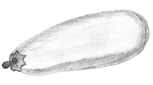 Иллюстрация к книге — Диабет. Советы и рекомендации ведущих врачей [i_041.jpg]