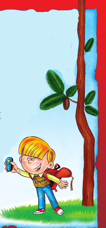 Иллюстрация к книге — Морской дозор [i_025.jpg]