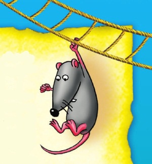 Иллюстрация к книге — Морской дозор [i_028.jpg]