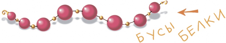 Иллюстрация к книге — Все тайны Кота да Винчи [i_017.jpg]