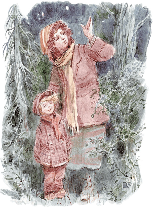 Иллюстрация к книге — Опасное путешествие Щепкина [i_013.jpg]