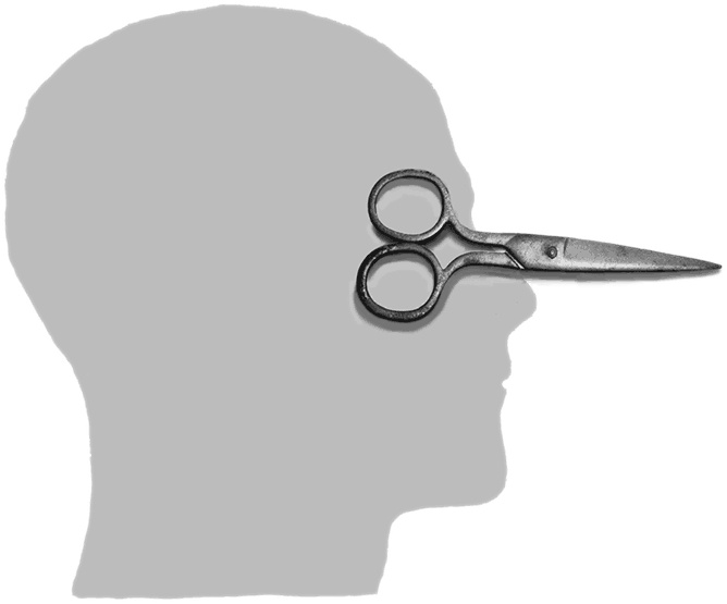 Иллюстрация к книге — Искусство креативного мышления [i_009.jpg]