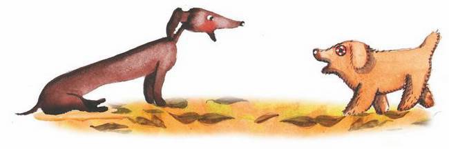 Иллюстрация к книге — Большая маленькая девочка. История одиннадцатая. Джинсы в горошек [i_030.jpg]