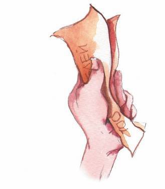 Иллюстрация к книге — Большая маленькая девочка. История одиннадцатая. Джинсы в горошек [i_041.jpg]