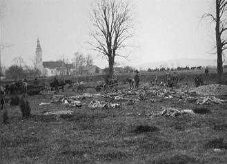 Иллюстрация к книге — Сибирские полки на германском фронте в годы Первой Мировой войны [i_007.jpg]