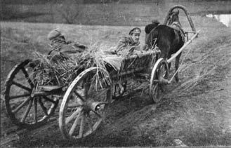 Иллюстрация к книге — Сибирские полки на германском фронте в годы Первой Мировой войны [i_008.jpg]