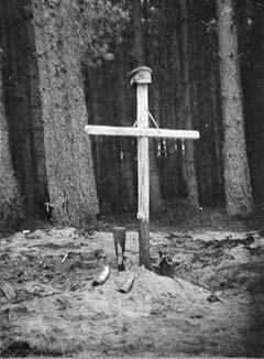 Иллюстрация к книге — Сибирские полки на германском фронте в годы Первой Мировой войны [i_010.jpg]