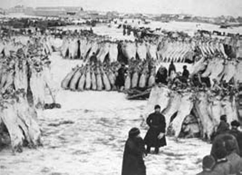 Иллюстрация к книге — Император Николай II. Жизнь, Любовь, Бессмертие [_20.jpg]