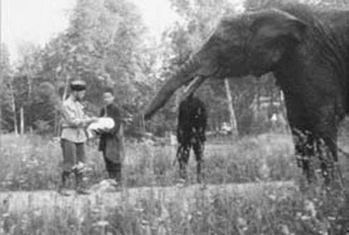 Иллюстрация к книге — Император Николай II. Жизнь, Любовь, Бессмертие [_54.jpg]