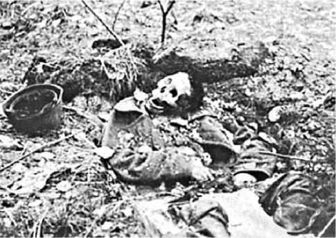 Иллюстрация к книге — Генерал из трясины. Судьба и история Андрея Власова. Анатомия предательства [i_022.jpg]