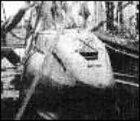 Иллюстрация к книге — Маринеско Александр Иванович [i_077.jpg]