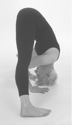 Иллюстрация к книге — Йога для спины [_478.jpg]