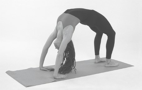 Иллюстрация к книге — Йога для спины [_636.jpg]